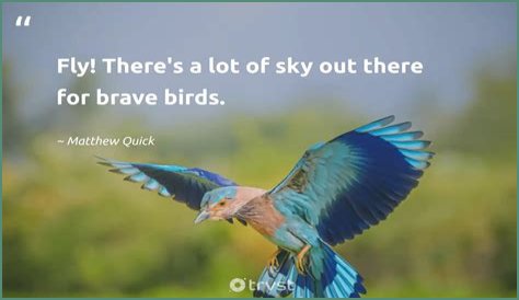 33 Quotes About Birds Flying Free
