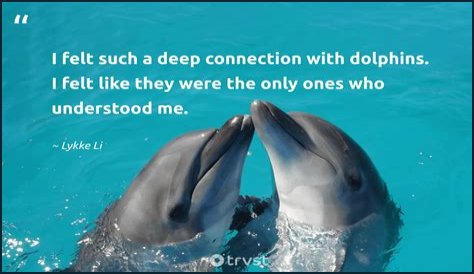 33 Quotes About Dolphins and Love